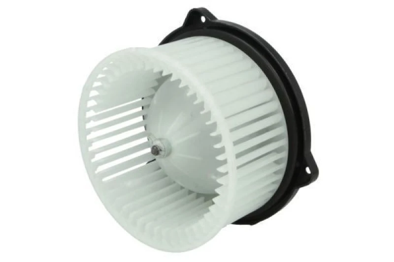 Image of THERMOTEC Blower motor THERMOTEC DD3003TT