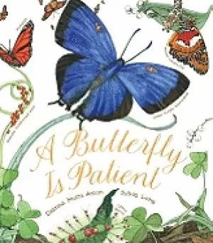 Image of butterfly is patient