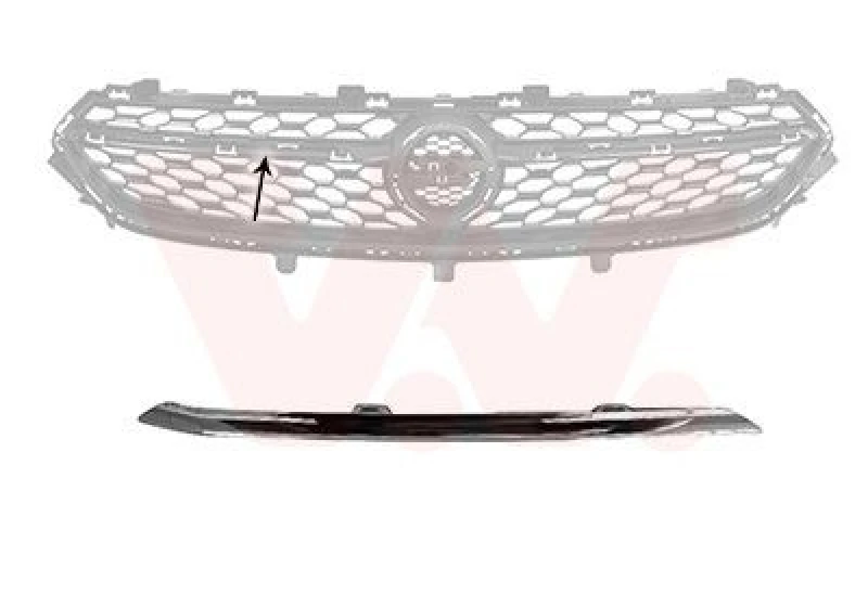Image of VAN WEZEL Trim / Protective Strip, radiator grille VAN WEZEL 3805512