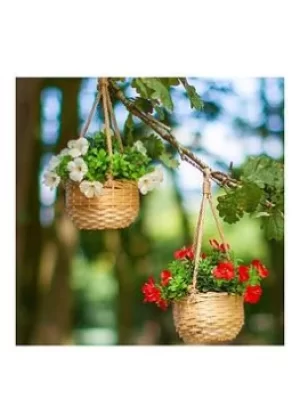 image of Smart Solar Basket Bouquets 2 Pack