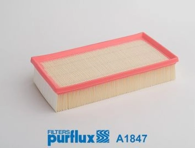 Image of Air filter PURFLUX A1847