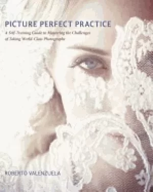 Image of picture perfect practice a self training guide to mastering the challenges