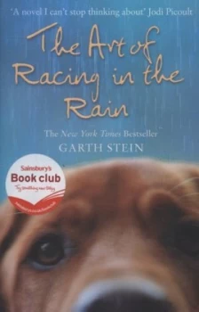 Image of The Art of Racing in the Rain by Garth Stein Paperback