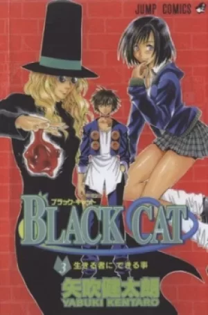 Image of Black cat by Kentaro Yabuki
