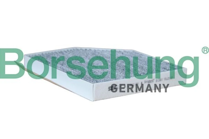 Image of Borsehung Pollen filter Borsehung B12801