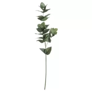 Image of Eucalyptus Filler