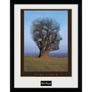 image of Pink Floyd Tree Collector Print