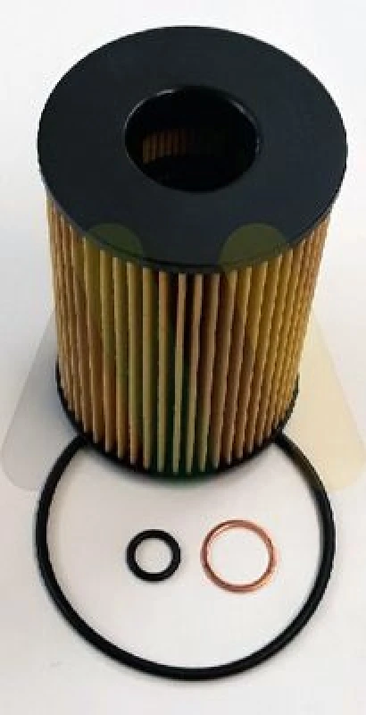 Image of MOTAQUIP Oil filter MOTAQUIP LVFL805