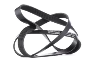 Image of RIDEX V-ribbed belt 305P0084 Serpentine belt,Auxiliary belt FORD,SKODA,PEUGEOT,MONDEO IV Turnier (BA7),S-MAX (WA6),GALAXY (WA6),MONDEO IV (BA7)