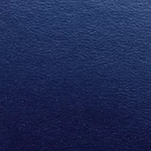 Image of GBC Regency Binding Cover A4 325 gsm Blue Pack of 100