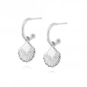 Image of Isla Shell Drop Sterling Silver Earrings SE06_SLV