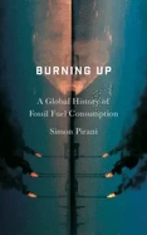 Image of burning up a global history of fossil fuel consumption