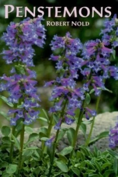 Image of Penstemons by Robert Nold Book