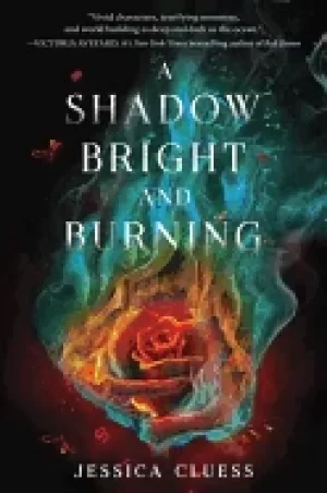 Image of shadow bright and burning kingdom on fire book one