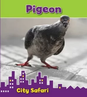 Image of Pigeon by Isabel Thomas