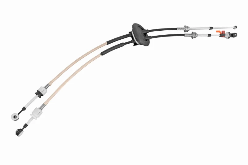 Image of VAICO Gear selector cable VAICO V22-0958