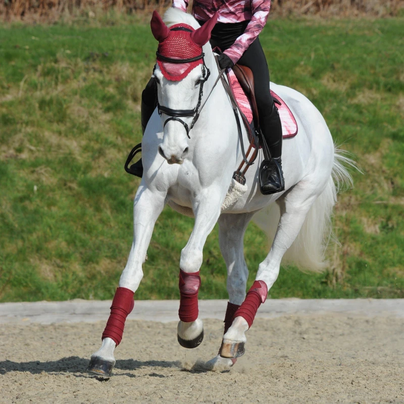 Image of Weatherbeeta Prime Marble Ear Bonnet - Red Red Pony