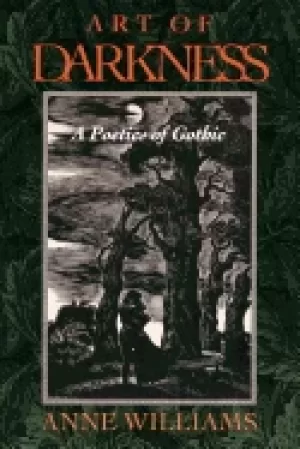 Image of art of darkness a poetics of gothic