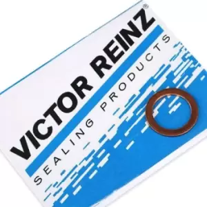 Image of REINZ Oil Drain Plug Gasket 41-70089-00 Oil Drain Plug Seal,Drain Plug Gasket VW,AUDI,MERCEDES-BENZ,Golf IV Schragheck (1J1),POLO (9N_)