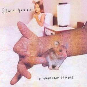 image of A Thousand Leaves by Sonic Youth CD Album