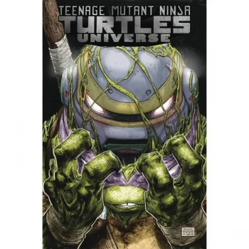 Image of Teenage Mutant Ninja Turtles: Universe: Volume 2: The New Strangeness