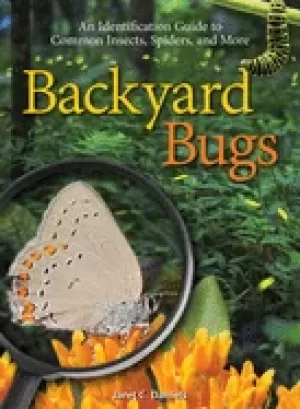 Image of backyard bugs an identification guide to common insects spiders and more