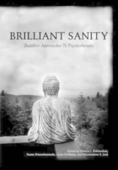 Image of Brilliant Sanity by Francis J Kaklauskas Paperback