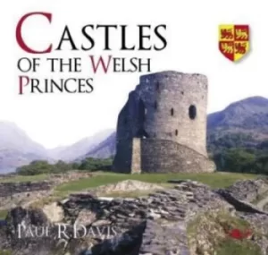 Image of Castles of the Welsh princes by Paul R. Davis
