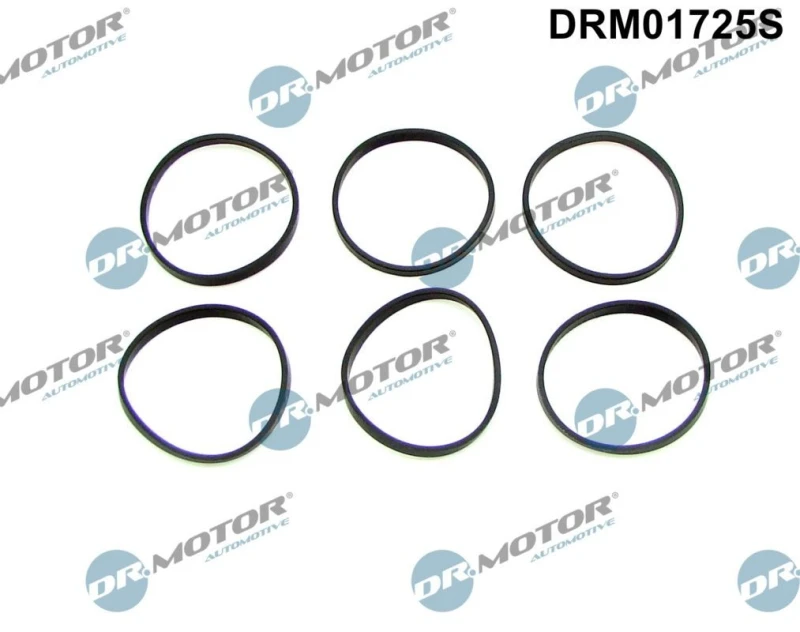 Image of DR.MOTOR AUTOMOTIVE Gasket Set, intake manifold DR.MOTOR AUTOMOTIVE DRM01725S