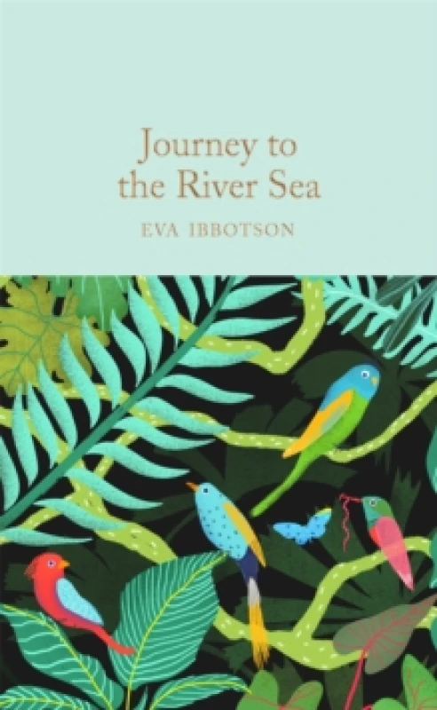 Image of Journey to the River Sea Hardback