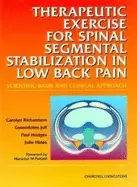 Image of therapeutic exercises for spinal segmental stabilization in low back pain s