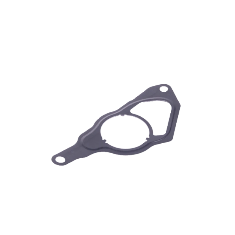 Image of DT Spare Parts 4.20980 Gaskets Gasket,vacuum pump (666)