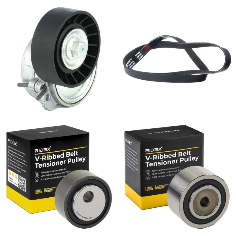 Image of RIDEX 542R0341 V-ribbed belt set V-Ribbed Belt Set (542)