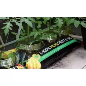 Image of Thompson & Morgan Thompson and Morgan Incredicrop Grow Bag - 1 unit