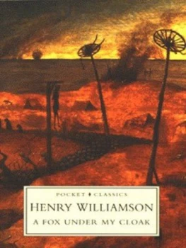 Image of A Fox under My Cloak by Henry Williamson Book