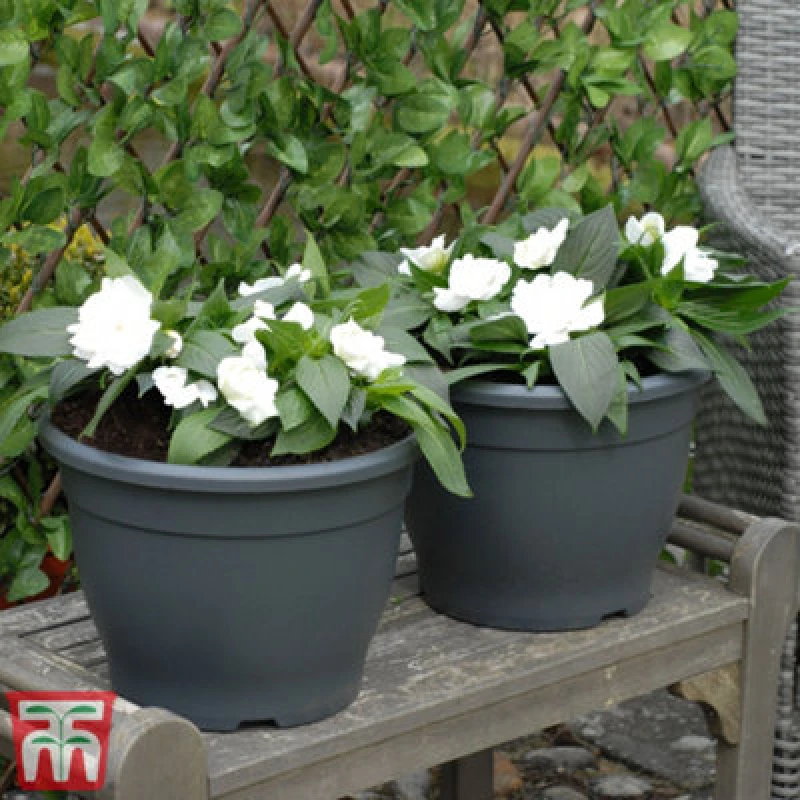 Image of Thompson & Morgan Planter Sabina Dark Grey (Anthracite) 32Cm Pot X 1