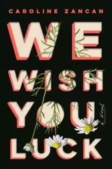 Image of We Wish You Luck : A Novel