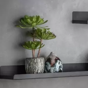 Image of Crossland Grove Echeveria W/Rustic Cement Pot 200X200X340Mm