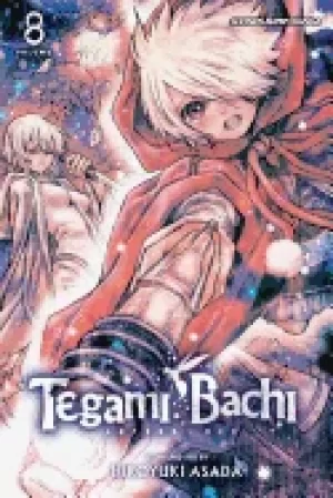 Image of tegami bachi volume 8