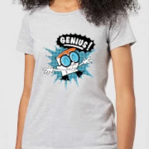 Image of Dexters Lab Genius Womens T-Shirt - Grey - 3XL