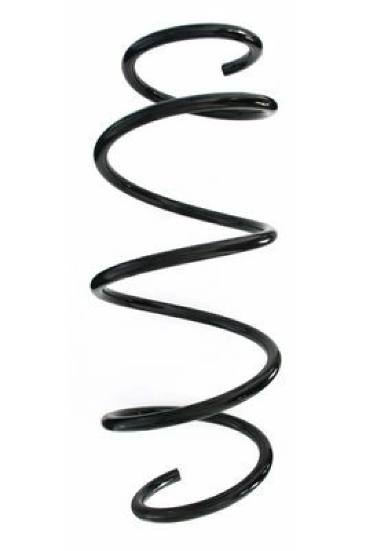 Image of Coil spring SPIDAN 87393