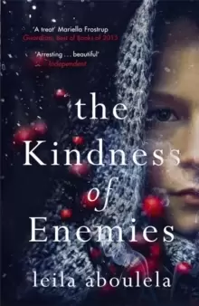 Image of The Kindness of Enemies