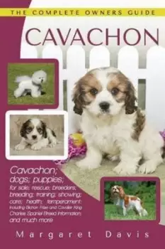 Image of Cavachon by Margaret Davis