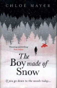 Image of The Boy Made of Snow by Chloe Mayer Hardback