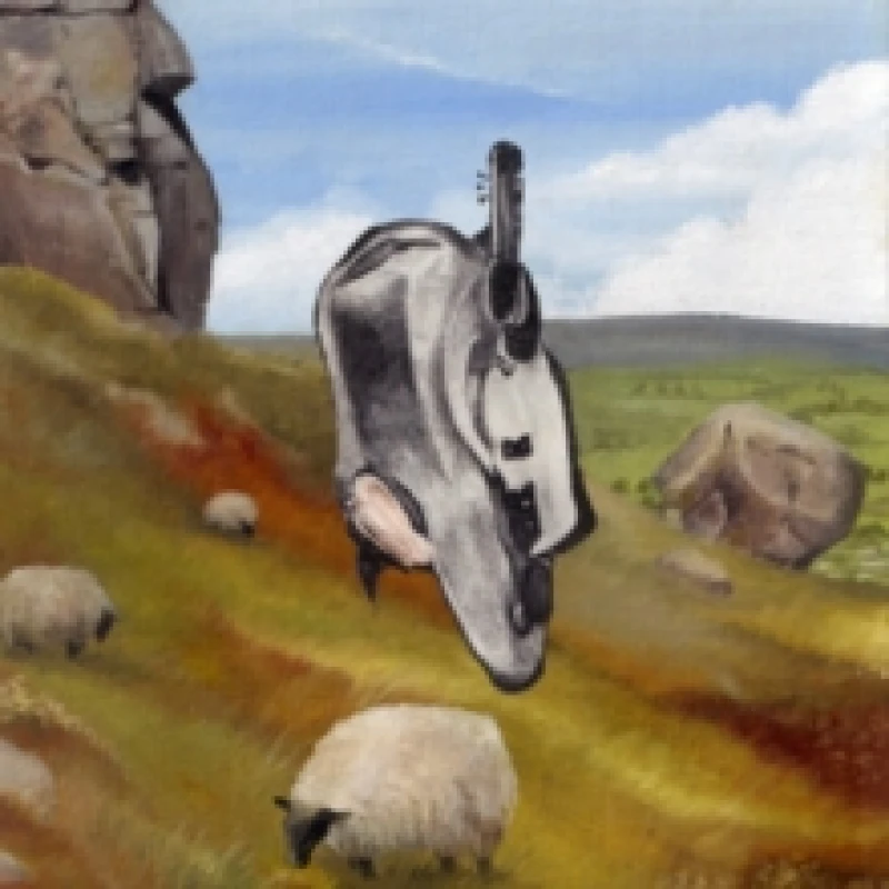 Image of This Could Be Texas Vinyl