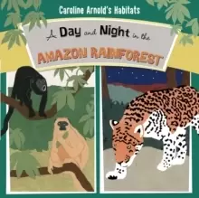 Image of A Day and Night in the Amazon Rainforest