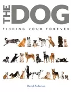 Image of dog finding your forever