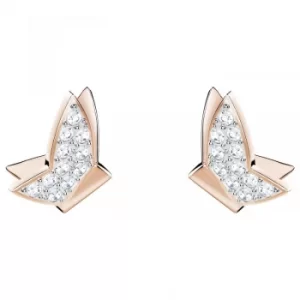 image of Ladies Swarovski Rose Gold Plated Lilia Butterfly Stud Earrings