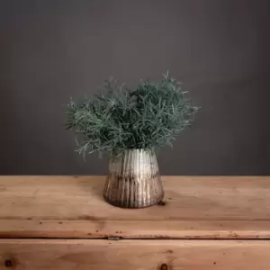 Image of Rosemary Bush Filler