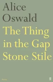 Image of The Thing in the Gap Stone Stile